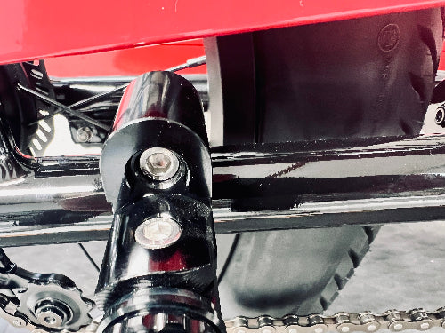 A detailed image of the ANZA footpeg securely bolted onto the e-bike.